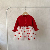 Baby Girl Heart Embroidered Tulle Sweater Dress