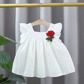 Baby Girl Rose Patch Eyelet Dress