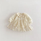 Baby Girl Flower Embroidery Lace Dress