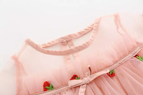 Girls Strawberry Embroider Dress