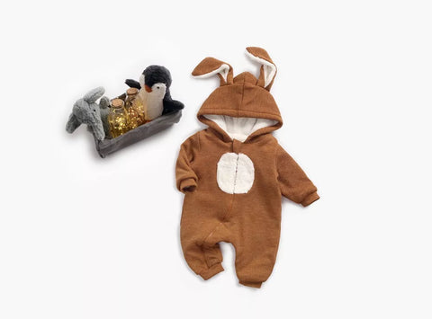 Baby Thick Fleece Lined Bunny Suit