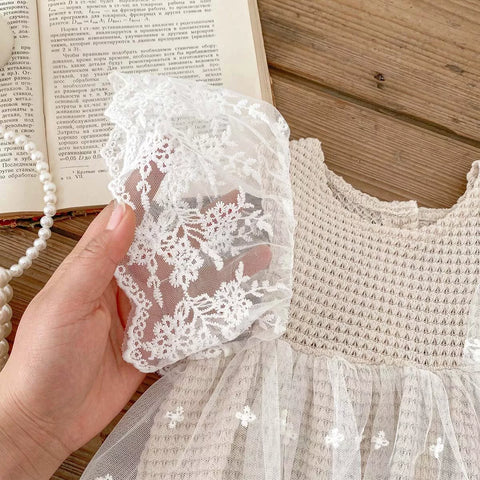 Baby Girl Sheer Lace Ruffle Dress