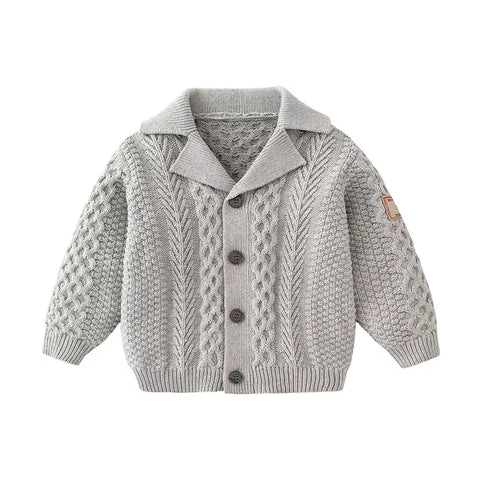 Baby Boy Cable Cardigan Sweater