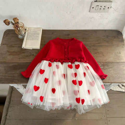 Baby Girl Heart Embroidered Tulle Sweater Dress