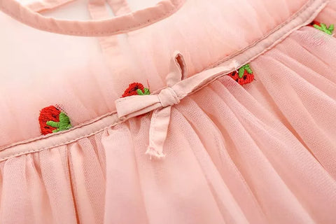 Girls Strawberry Embroider Dress