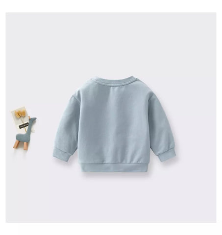 Baby Boy Rainbow Embroidery Logo Crew Neck Long Sleeve Pullover