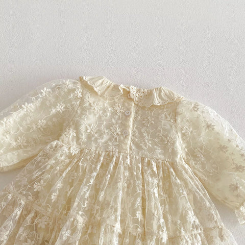 Baby Girl Flower Embroidery Lace Dress