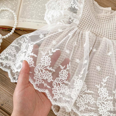 Baby Girl Sheer Lace Ruffle Dress