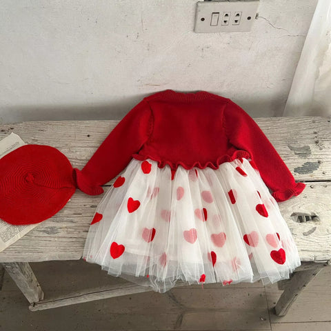 Baby Girl Heart Embroidered Tulle Sweater Dress