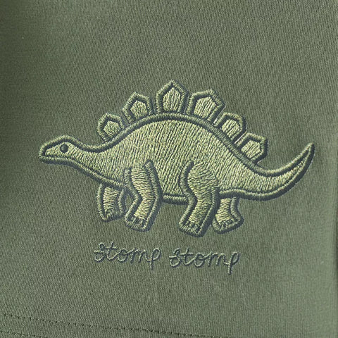 2 Pc Boys Green Dinosaur Tee Shirt & Shorts Set