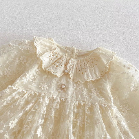 Baby Girl Flower Embroidery Lace Dress