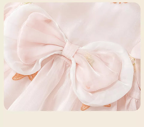 2 Pc Baby Girl Butterfly Sateen Dress with Hat