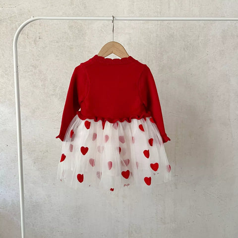Baby Girl Heart Embroidered Tulle Sweater Dress