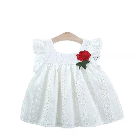 Baby Girl Rose Patch Eyelet Dress
