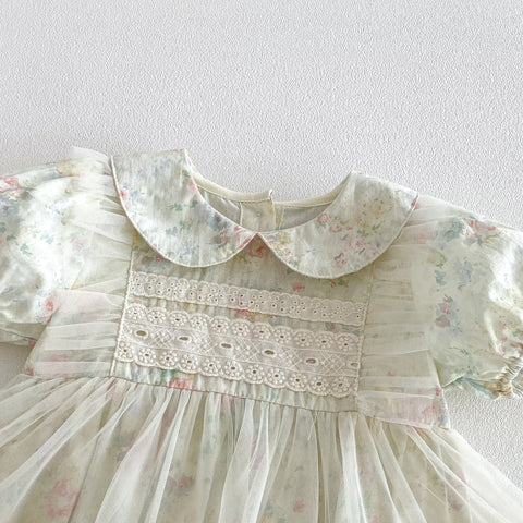 Baby Girl Watercolor Floral Sheer Skirting Dress