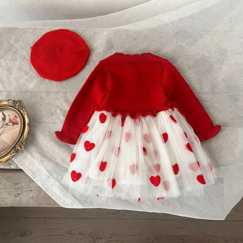 Baby Girl Heart Embroidered Tulle Sweater Dress