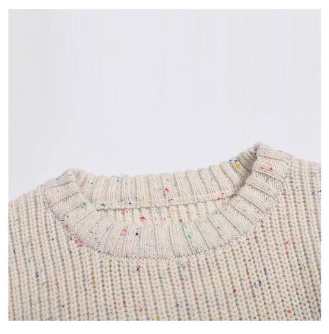 Unisex Baby Speckled Knit Crewneck Sweater