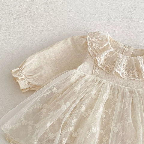 Baby Girl Floral Sheer Tulle Dress