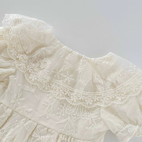 Baby Girl Floral Sheer Emb Dress