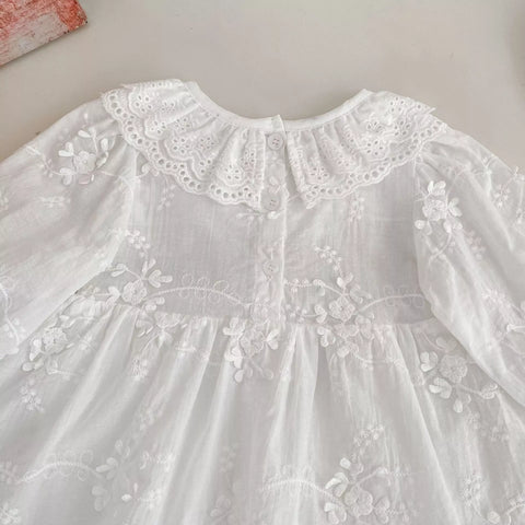 Baby Girl Sheer Floral Ruffle Collar Dress