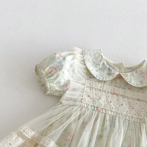 Baby Girl Watercolor Floral Sheer Skirting Dress
