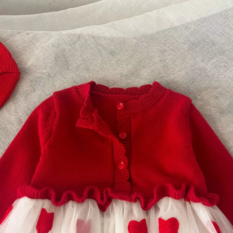 Baby Girl Heart Embroidered Tulle Sweater Dress