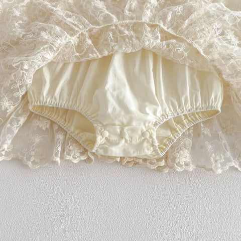 Baby Girl Flower Embroidery Lace Dress