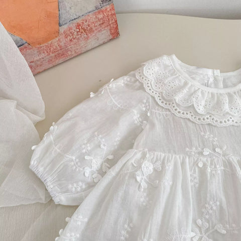 Baby Girl Sheer Floral Ruffle Collar Dress