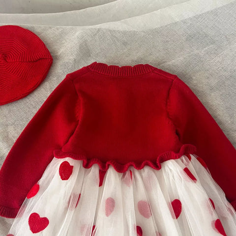 Baby Girl Heart Embroidered Tulle Sweater Dress