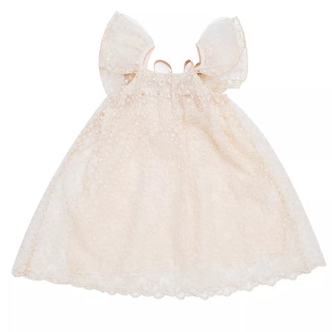Girls Embroidered Leaflet Mesh Dress