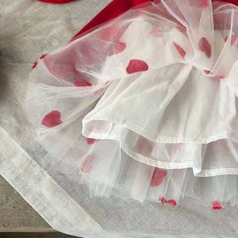 Baby Girl Heart Embroidered Tulle Sweater Dress