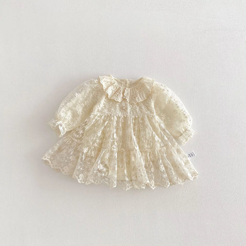 Baby Girl Flower Embroidery Lace Dress
