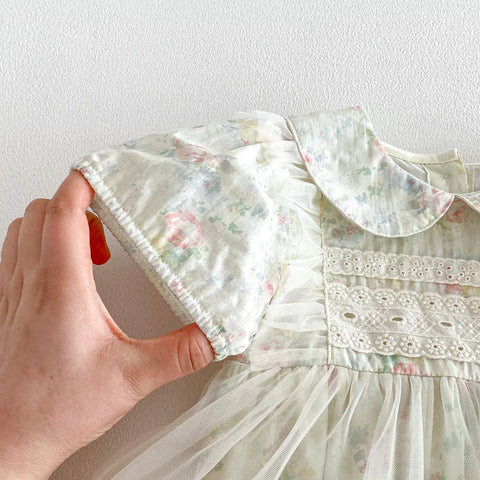 Baby Girl Watercolor Floral Sheer Skirting Dress