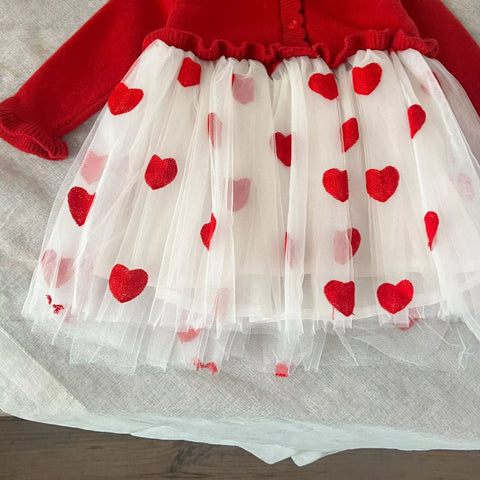 Baby Girl Heart Embroidered Tulle Sweater Dress